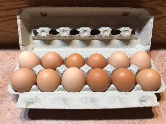 X-Large Brown Eggs